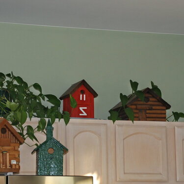 POD Mini #7 Favorite Kitchen Item