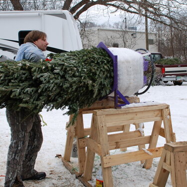 POD Mini #12 Useful - Tree Net