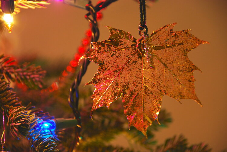 December POD #12 - Gold Maple Leaf