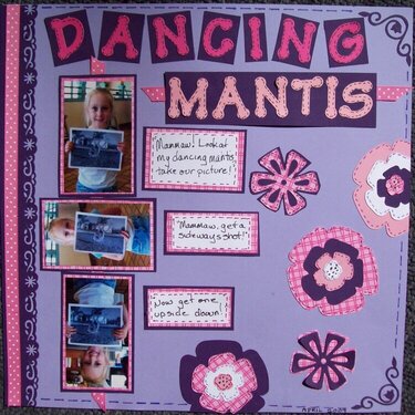 Dancing Mantis