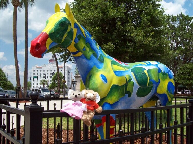 Belle visits Ocala