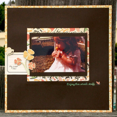 Enjoy The Small Stuff *Cosmo Cricket*