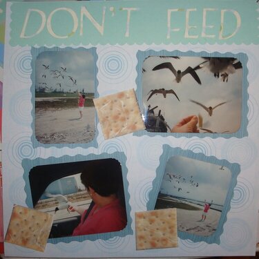 Don&#039;t feed the gulls-page 1