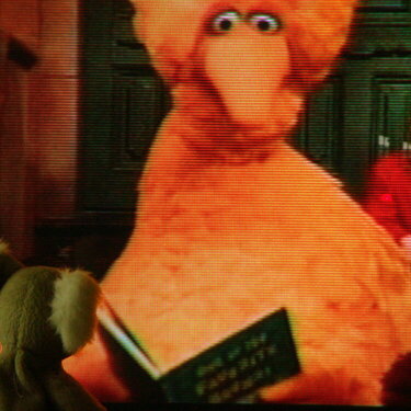 Story Time with Bellie and Big Bird