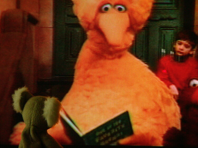 Story Time with Bellie and Big Bird