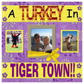 Tiger Town Page 1