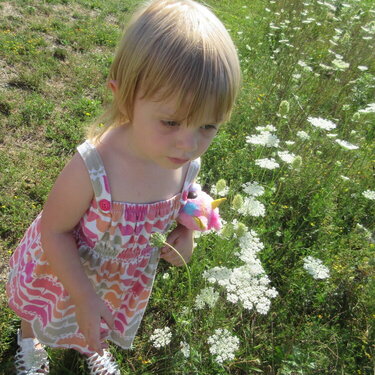 child in a field of flowers