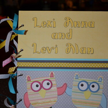 Owl themed baby album for twins