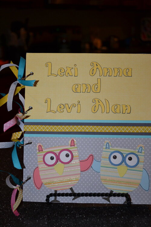 Owl themed baby album for twins