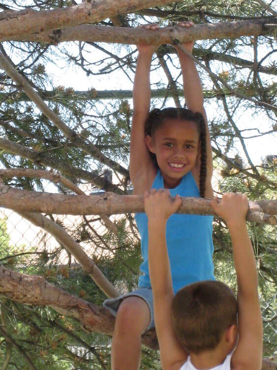 girls can climb trees too