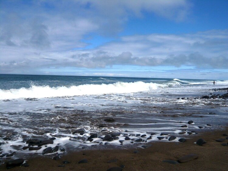 Oregon Coast 4