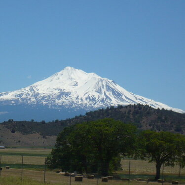 Shasta Mountain