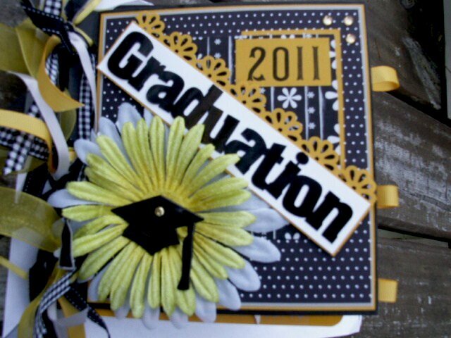 2011 graduation paper bag albumn