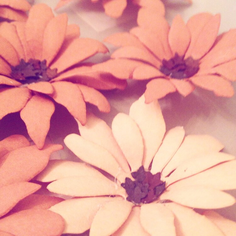 own paperflowers
