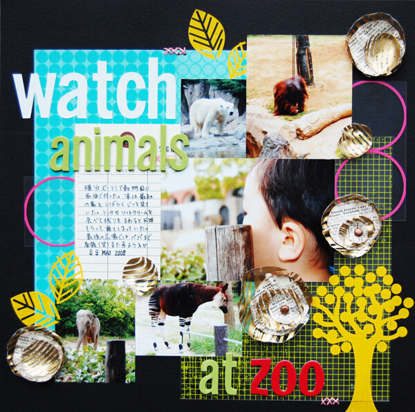watch animals