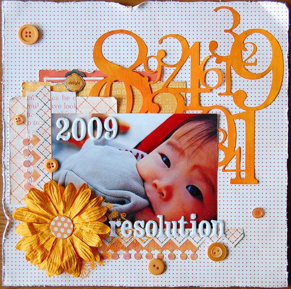 2009 resolution