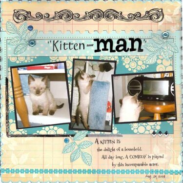 Scraplift - Kitten Man