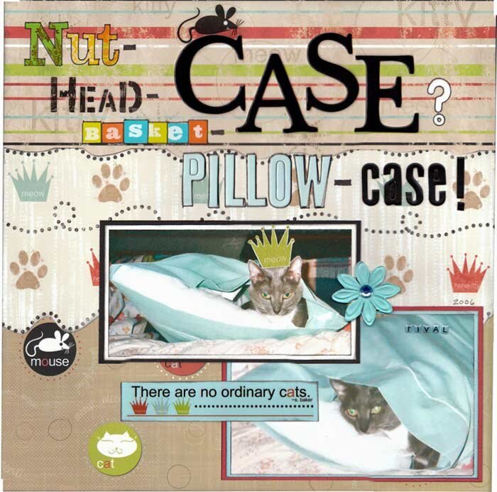 Pillow - Case!