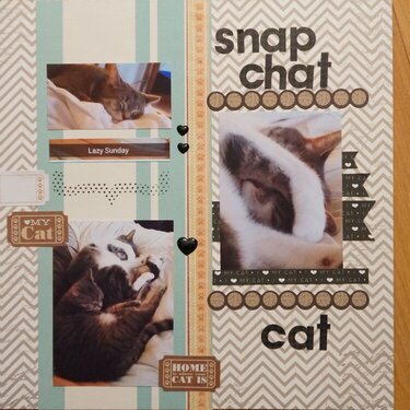Snap Chat Cat