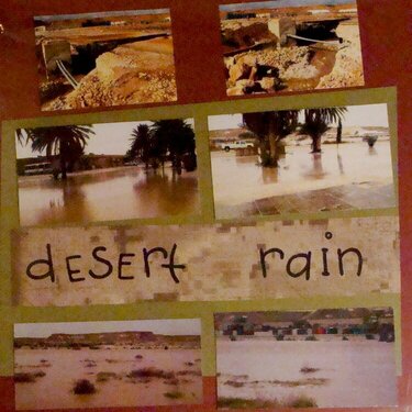 Desert Rain