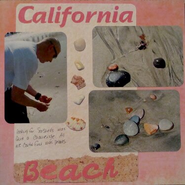 California Seashells