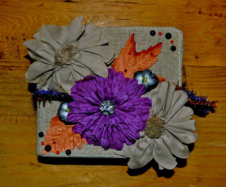 Halloween Mini Album Cover  ~~Scraps Of Darkness~~ Creativity Kit