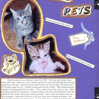 Purrrrr-fect Feline Pets 2