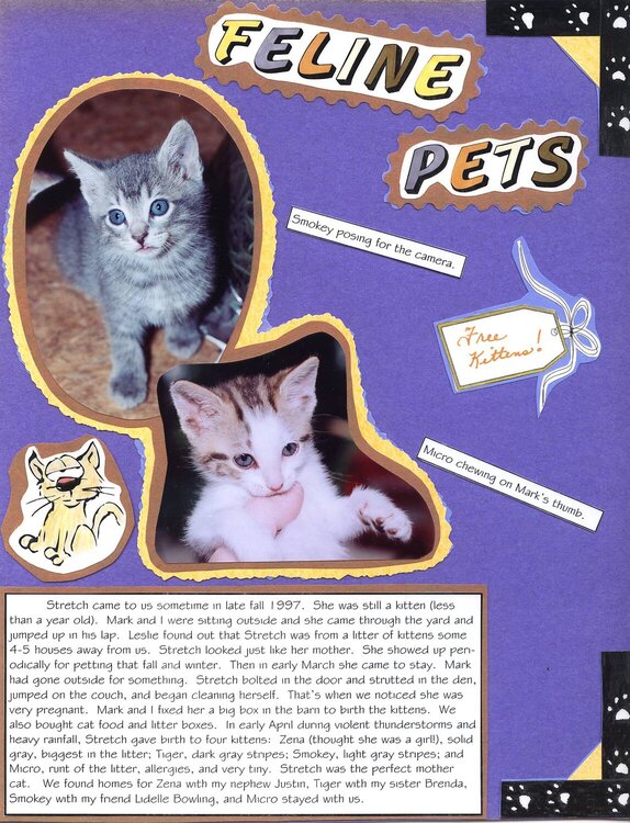Purrrrr-fect Feline Pets 2