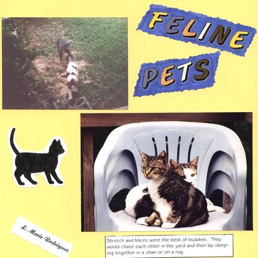 Purrrrr-fect Feline Pets 3