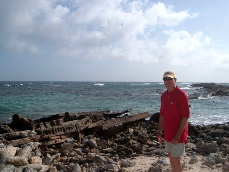 Poodle in Aruba