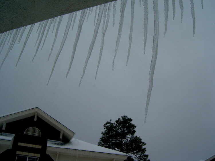 The Icicles outside my window!