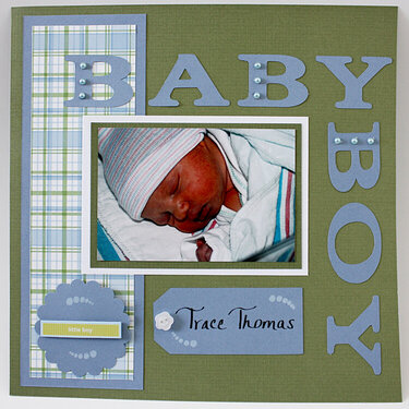 Trace&#039;s Baby Book