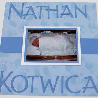 Nathan&#039;s Baby Book