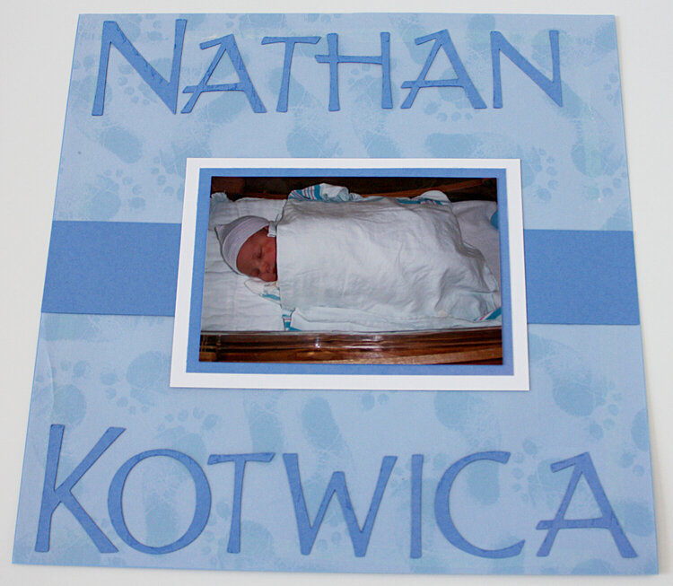 Nathan&#039;s Baby Book