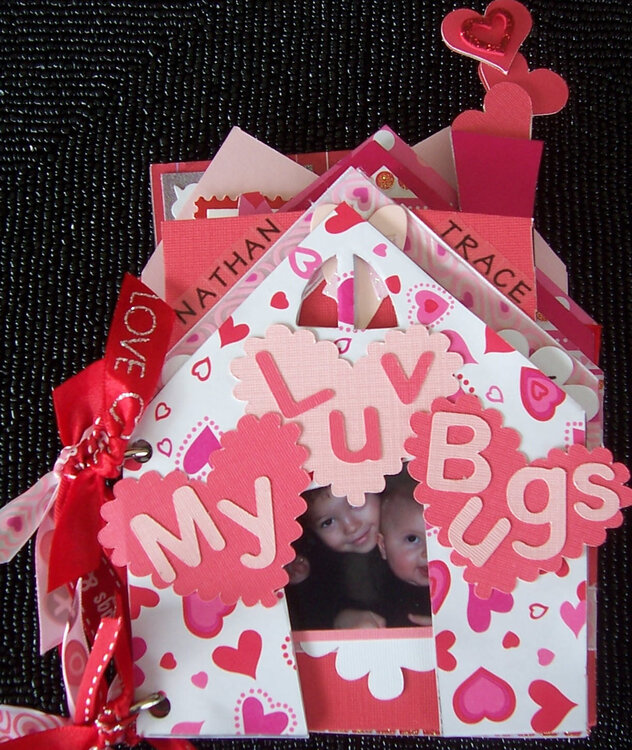 Luv Bug Book - Cover