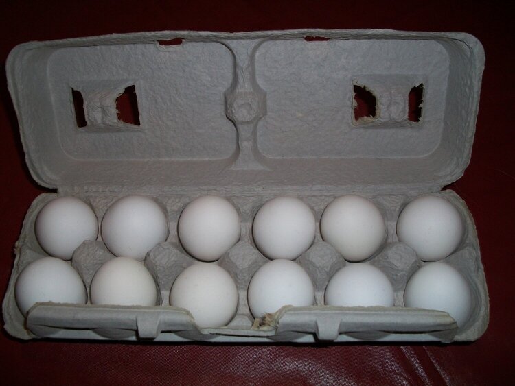 8 eggs