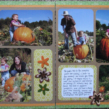 pumpkin patch 2008
