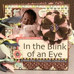 In the Blink of an Eye by Allyson Meinholz