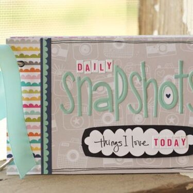 Daily Snapshots Mini Album, by Brook Stewart.