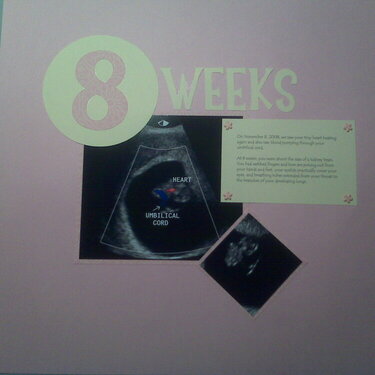Pregnancy Scrapbook Page 4