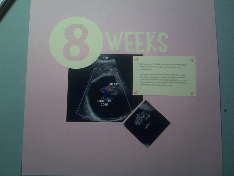 Pregnancy Scrapbook Page 4