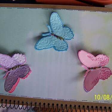 Butterflies notebook