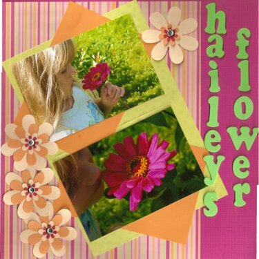 haileys flower