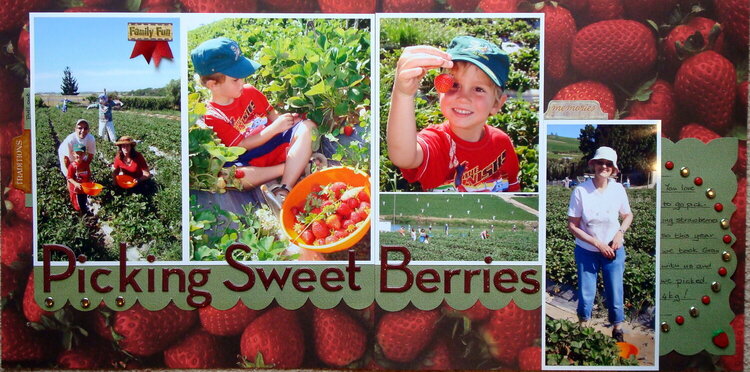 Picking Sweet Berries