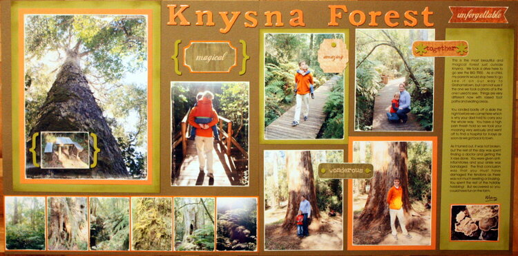 Knysna Forest