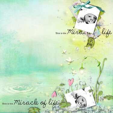 miracle of life