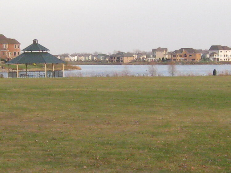 Lake by the park