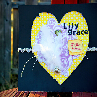 In memory of Lily Grace