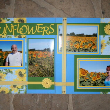 Sunflowers...France