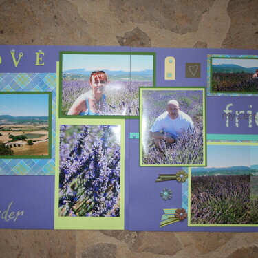 Love in the Lavender...France